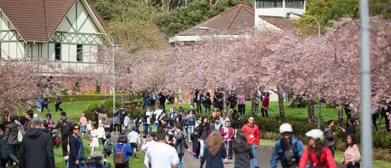 再过几天，新西兰又要让全世界羡慕了！你也要一起来刷爆朋友圈吗？！