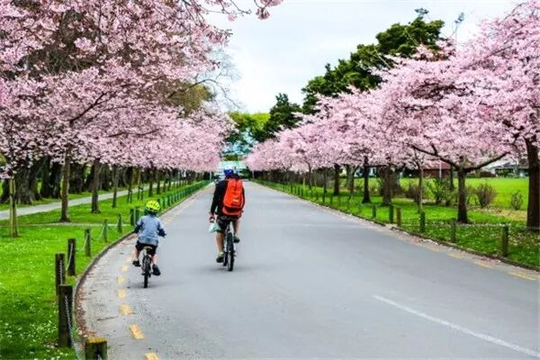 再过几天，新西兰又要让全世界羡慕了！你也要一起来刷爆朋友圈吗？！