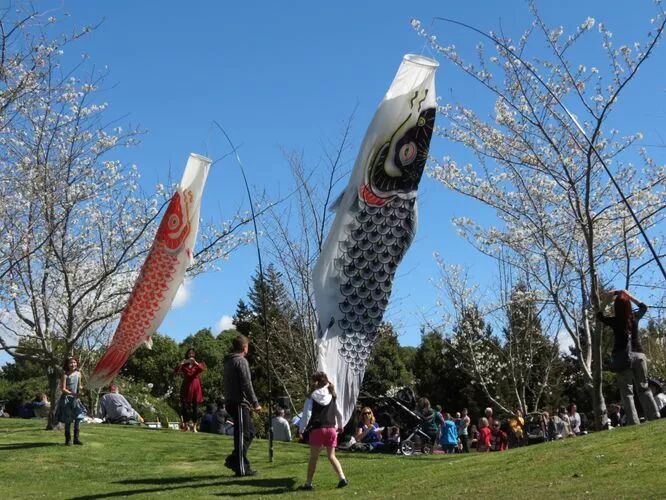 再过几天，新西兰又要让全世界羡慕了！你也要一起来刷爆朋友圈吗？！