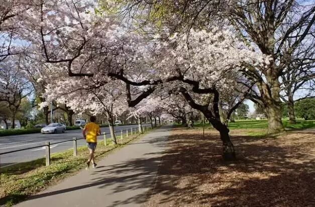 再过几天，新西兰又要让全世界羡慕了！你也要一起来刷爆朋友圈吗？！