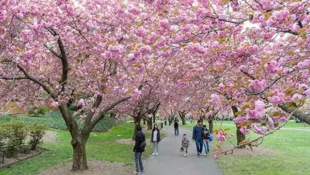 再过几天，新西兰又要让全世界羡慕了！你也要一起来刷爆朋友圈吗？！