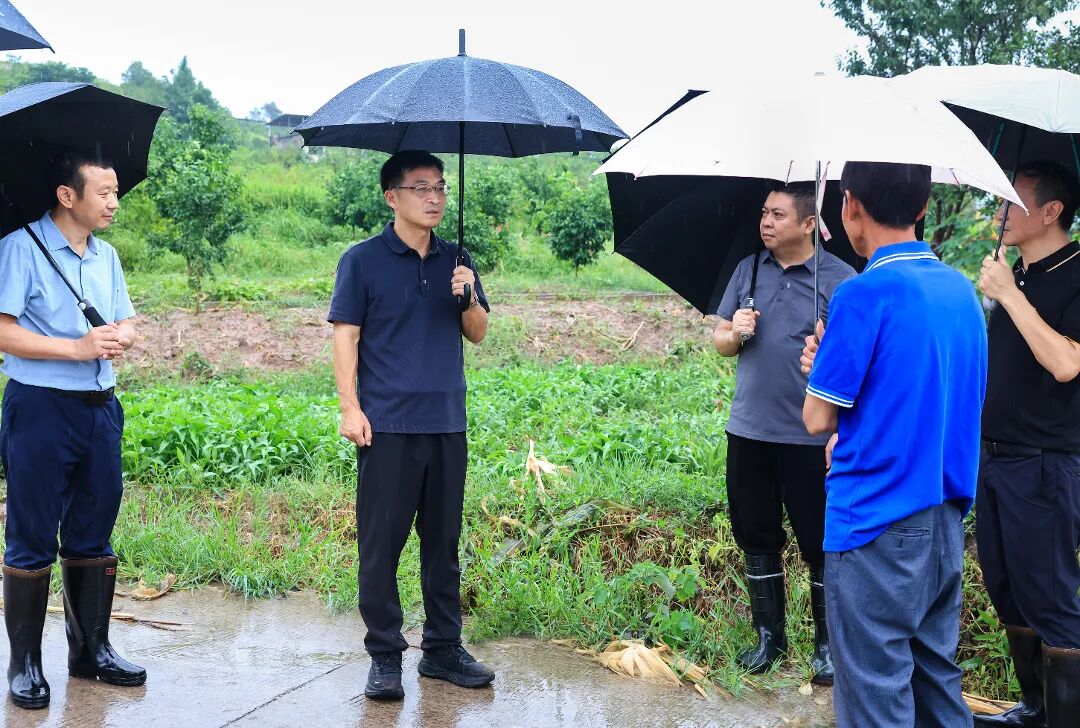 8月3日下午，区委书记杨宏在厚坝镇青坪村督导指导防灾减灾工作。崔家清 摄.jpg
