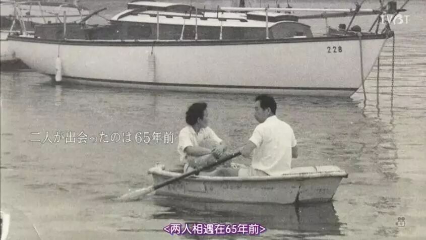 豆瓣9 2 这对90岁夫妇的 小森林 令人泪奔 自由微信 Freewechat