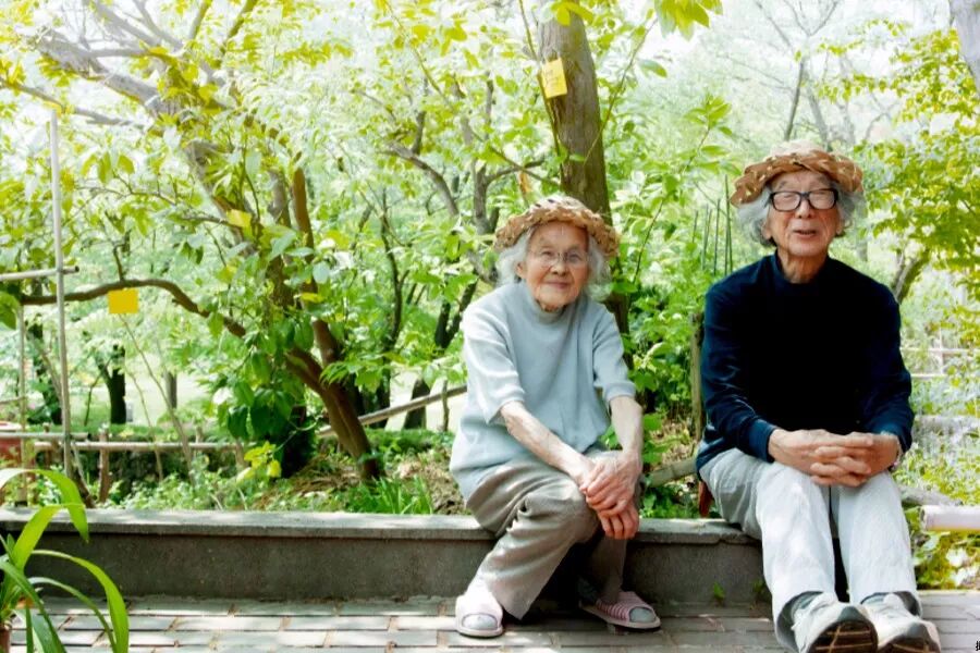 豆瓣9 2 这对90岁夫妇的 小森林 令人泪奔 自由微信 Freewechat