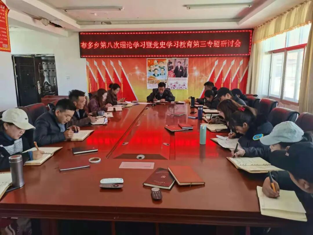 仲巴县布多乡党委召开第八次理论学习暨党史学习教育第三专题研讨会议