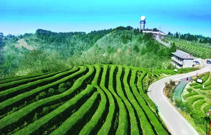 重慶市萬州區太安鎮鳳凰社區4大做法 助力鄉村振興 - 四川中農富通