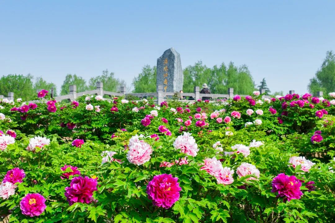 微信图片_20260326111116_2651_428.jpg