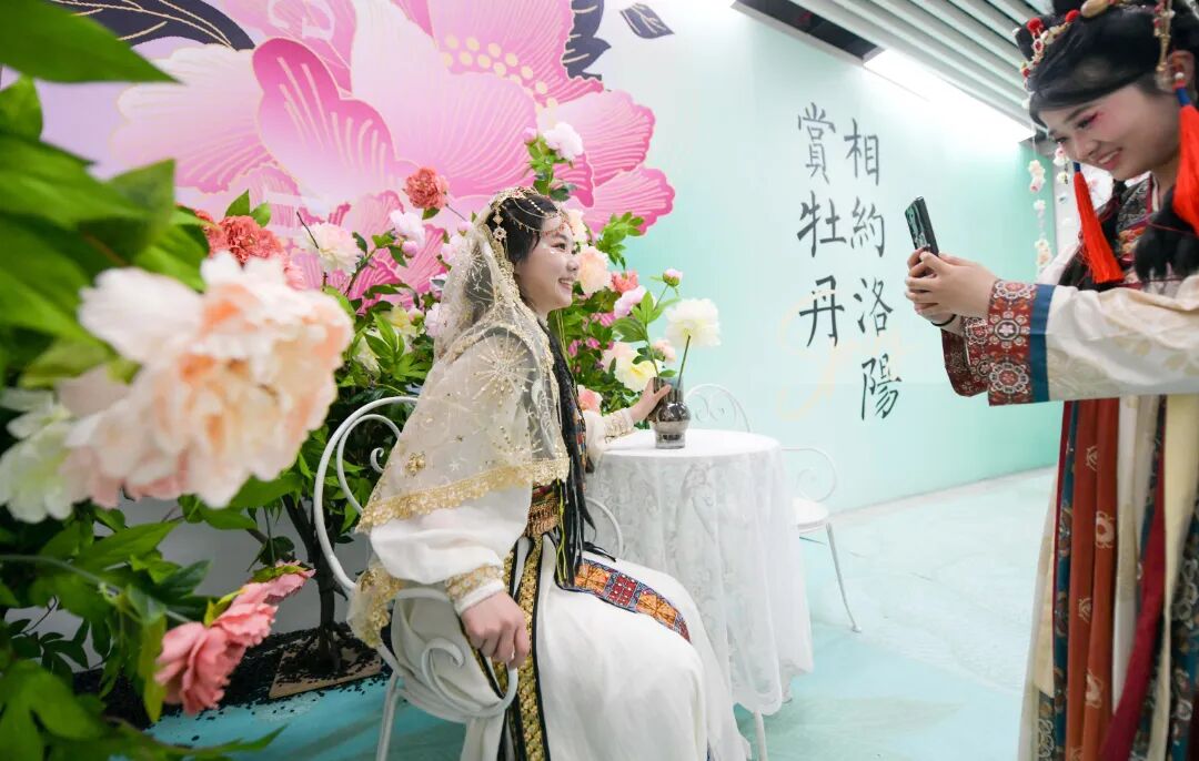 “宠客”！洛阳地铁站内设置牡丹主题打卡点(5404943)-20260331193345.jpg