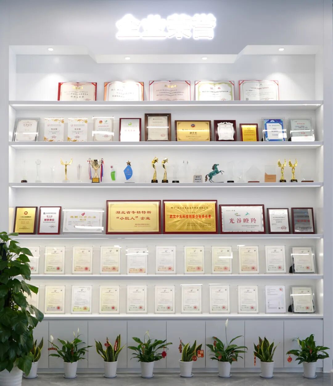 艾米森2022年度关键词发布！