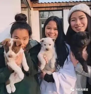 弃婴三姐妹分别被美国三个家庭收养，长大以后决定回国寻亲（组图） - 11