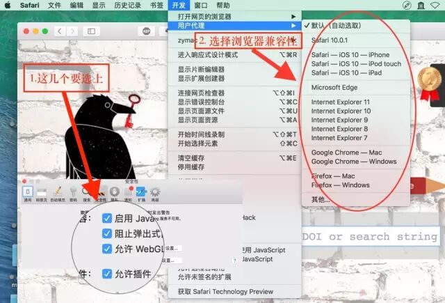 高手是如何在全Mac下进行论文写作的？