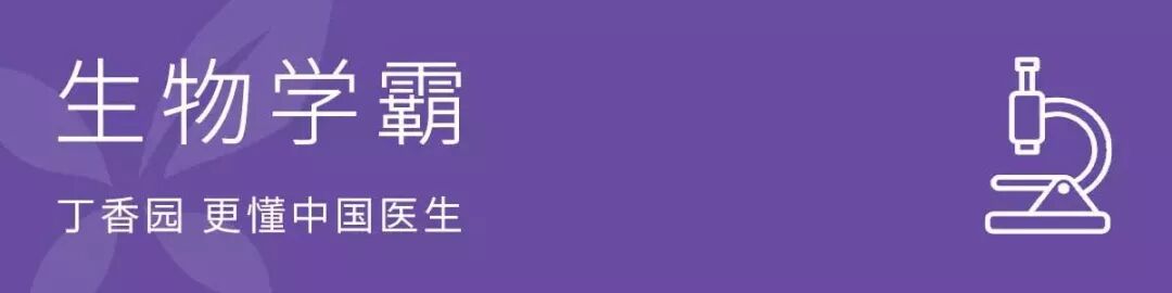 还在用 Word 写论文？Mac 写作软件大测评 丁香园版