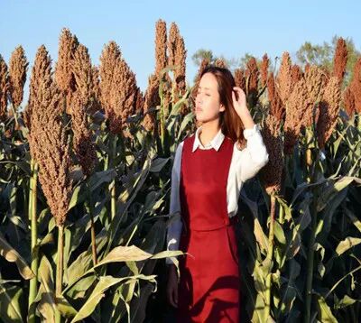 别人家的小师妹来了，这可不是征婚帖哦