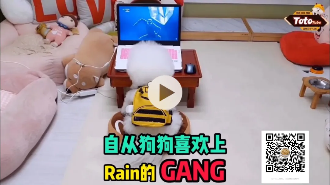 他们到底还是不是韩流四大社真正的掌权人?