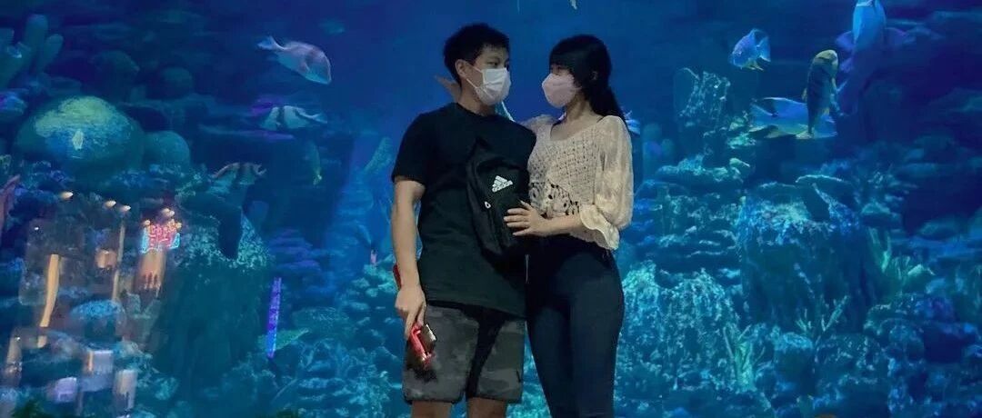 恩爱日韩情侣出现感情裂缝？女方：以后将由我独自...