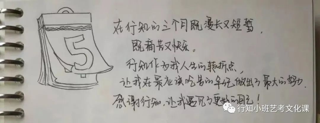 安排