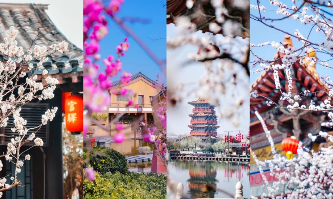 大宋·东京梦华:免费名额开抢!