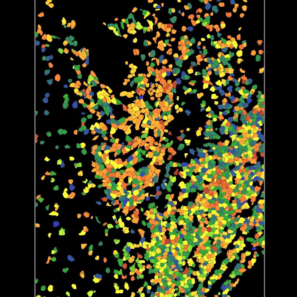 Aivia 14發(fā)布會(huì)：開啟3D空間生物學(xué)分析新紀(jì)元