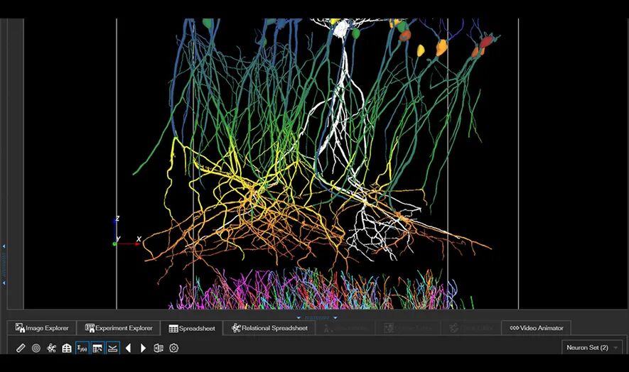 Aivia 14發(fā)布會(huì)：開啟3D空間生物學(xué)分析新紀(jì)元