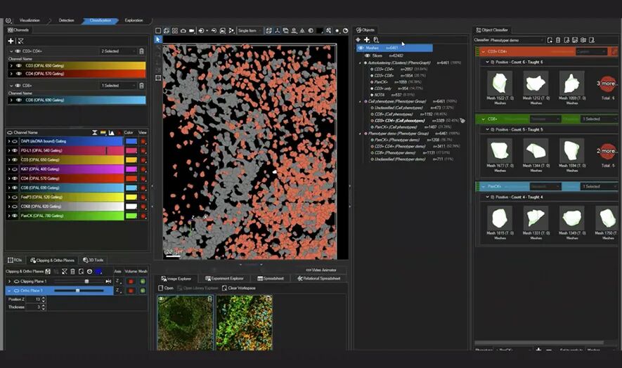 Aivia 14發(fā)布會(huì)：開啟3D空間生物學(xué)分析新紀(jì)元