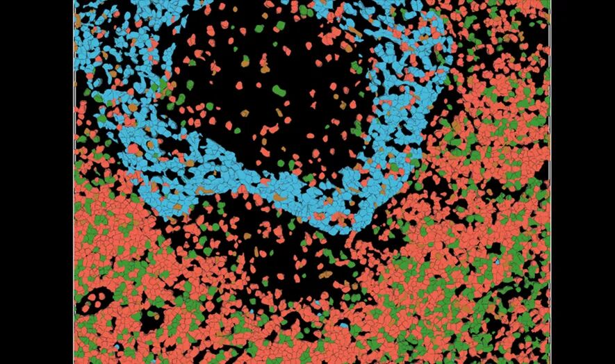 Aivia 14發(fā)布會(huì)：開啟3D空間生物學(xué)分析新紀(jì)元