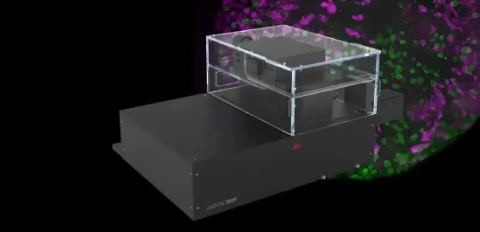 网络研讨会 | 基于人工智能的表型药物筛查解决方案