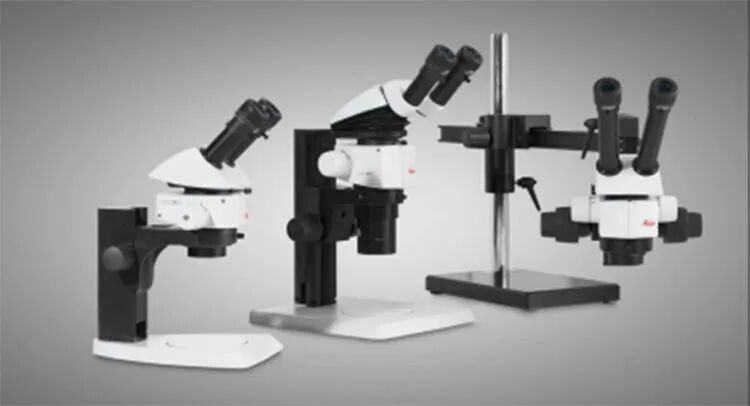 徠卡175周年：體視顯微鏡的歷史