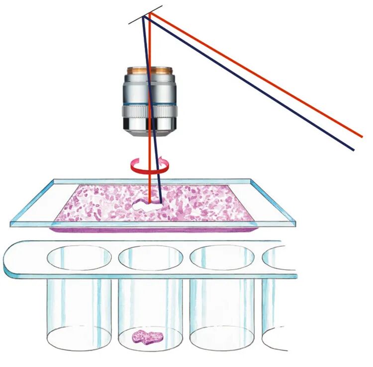 徠卡精準(zhǔn)空間生物學(xué)解決方案 第四彈