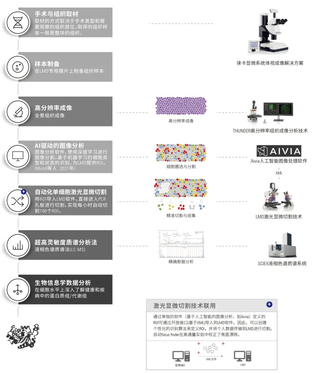 徠卡精準(zhǔn)空間生物學(xué)解決方案 第四彈