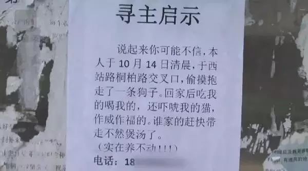 偷抱走一只狗，吃我的喝我的，還打我家貓，再不領走煲湯了！ 未分類 第1張