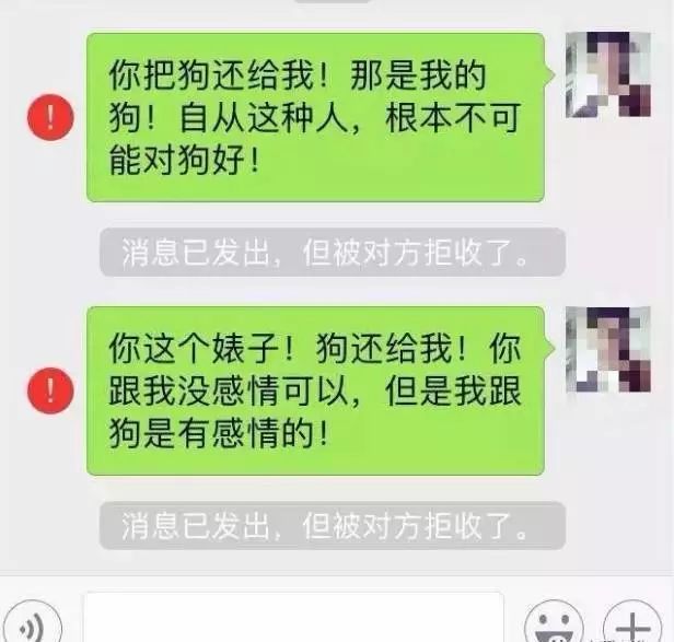 被戴綠帽子也就算了，還搶走了哈士奇，這個不能忍 萌寵 第4張