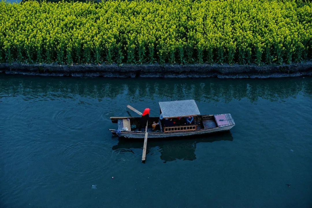 中國最美水上油菜花田，終於藏不住了！距南京不到3h，人民網都點讚！ 旅遊 第40張