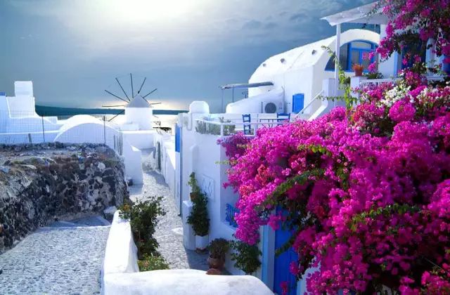 讓我們去希臘，雅典走一走，聖托里尼島有世界上最美的日落 未分類 第23張