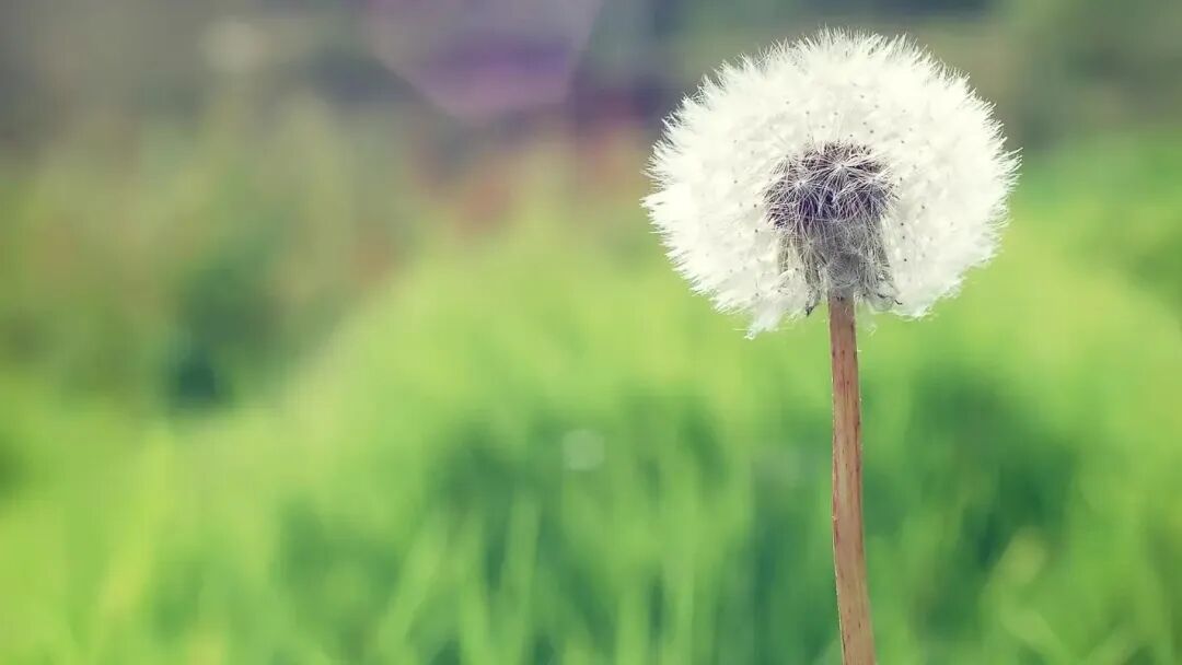 一段关系，失去了心，就再也好不了了