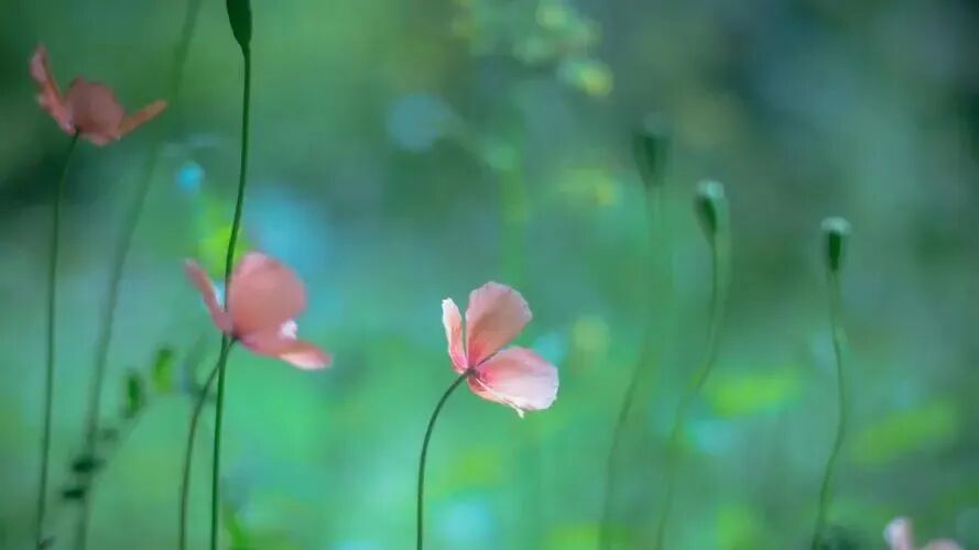 一段关系，失去了心，就再也好不了了