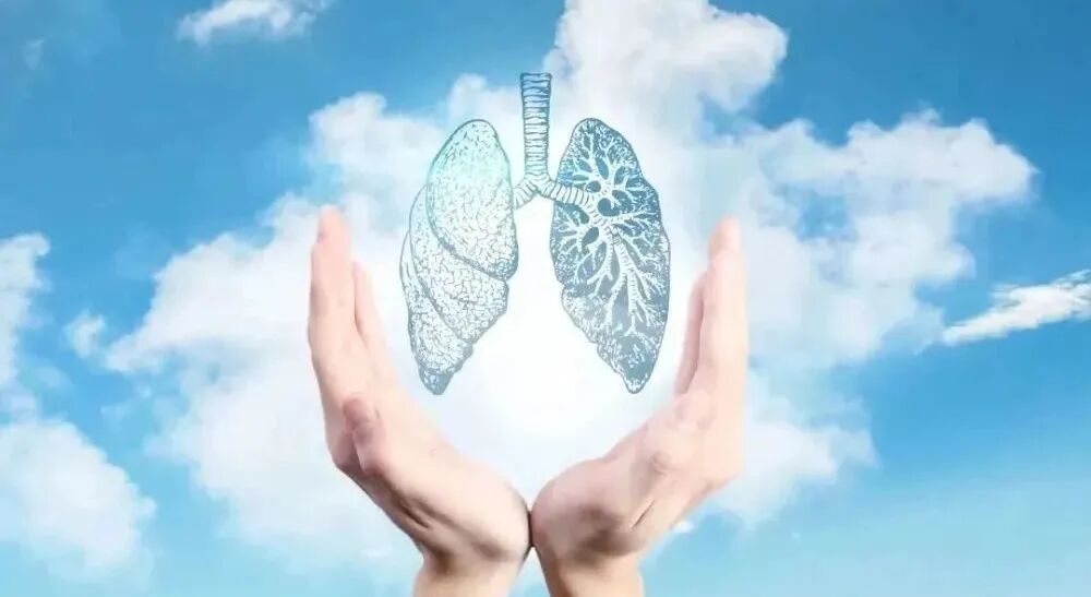 【健康科普】世界呼吸日 | 健康呼吸 健康生活(图1)