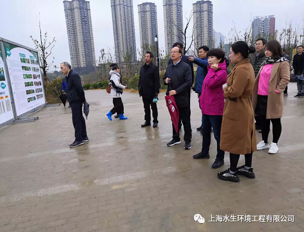 国际湿地城市认证提名考察组来我司合肥项目考察(图2)
