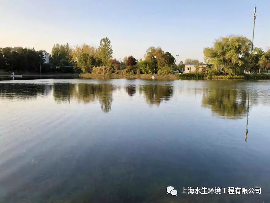 国际湿地城市认证提名考察组来我司合肥项目考察(图3)