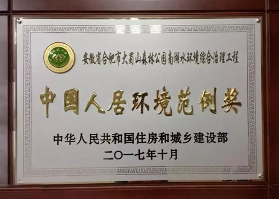 国际湿地城市认证提名考察组来我司合肥项目考察(图6)