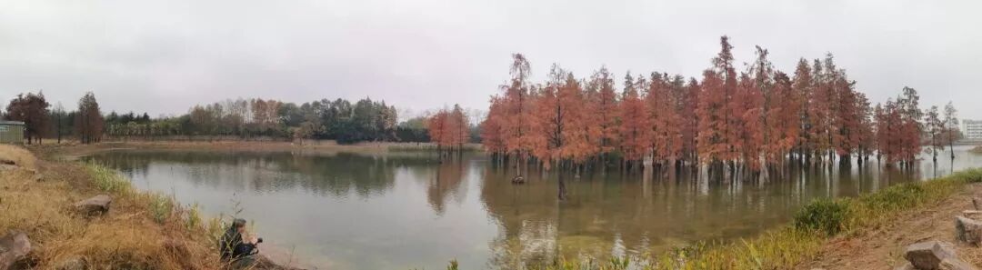 国际湿地城市认证提名考察组来我司合肥项目考察(图1)