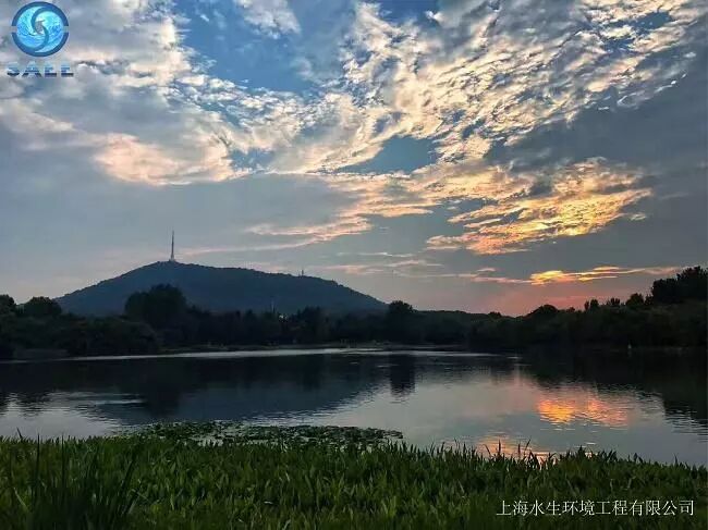 水环境生态修复支招巢湖流域治理(图2)
