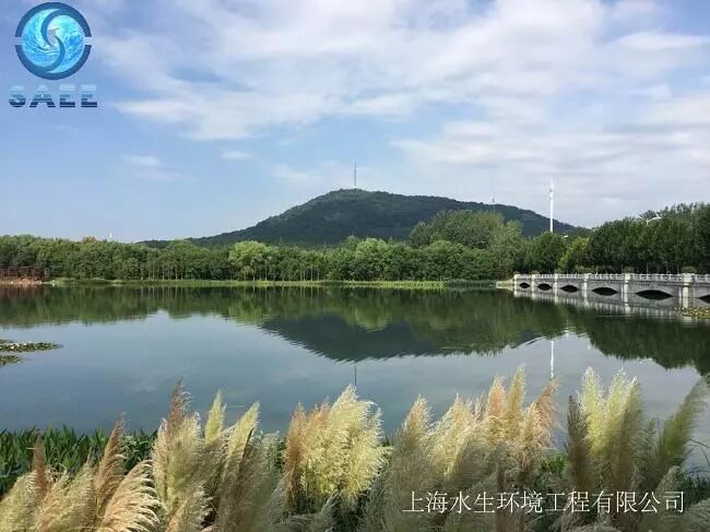 水环境生态修复支招巢湖流域治理(图3)