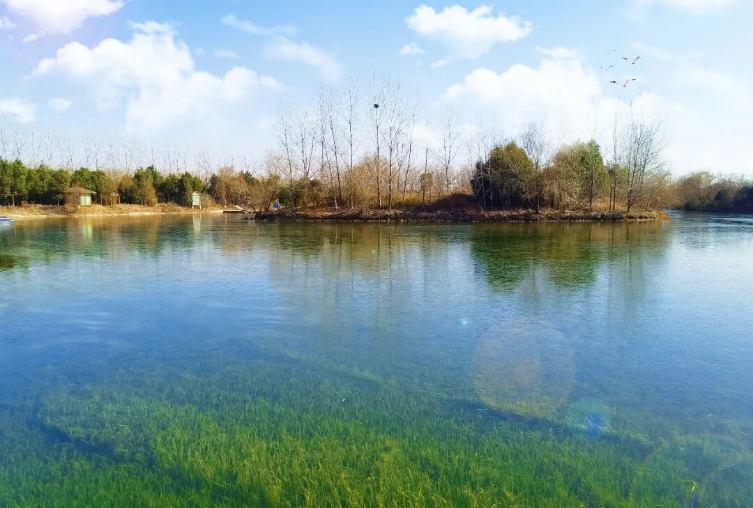 守护一江碧水——我司金葡萄湖水生态治理工程荣获锦旗！(图3)