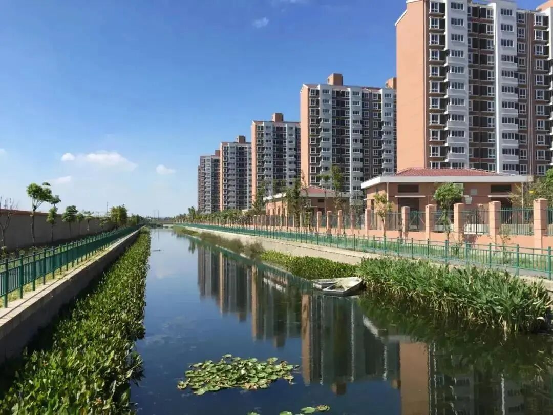 水清、岸绿、河畅、景美……“河长制”打造宝山美丽幸福河(图1)