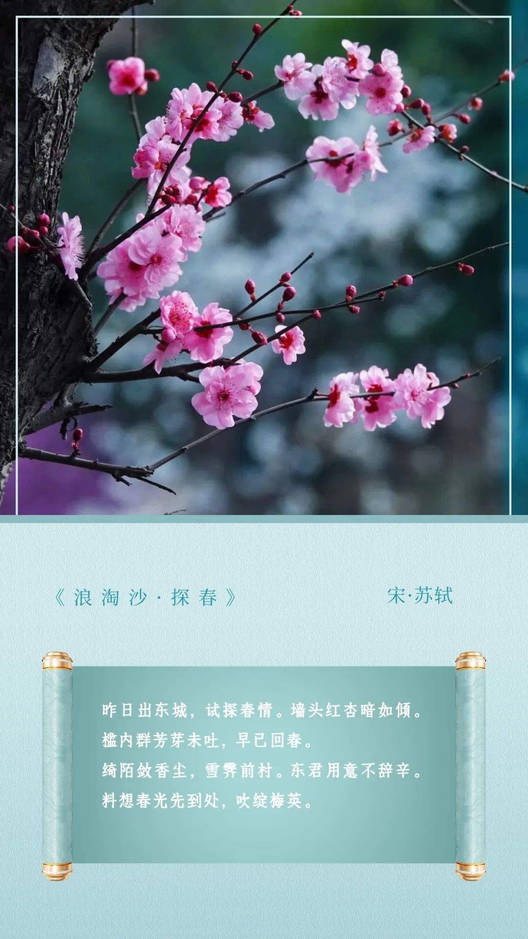 桃花红杏花白又见平遥图片