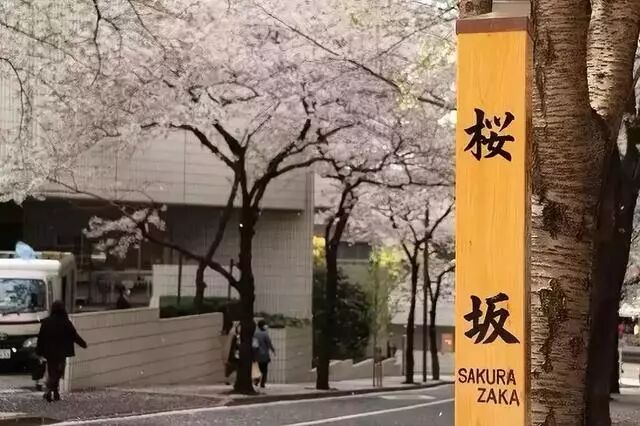 日本旅游 19樱花盛开时间表正式公布 博客內容 日本鼎立地产 A1 House Property Japan