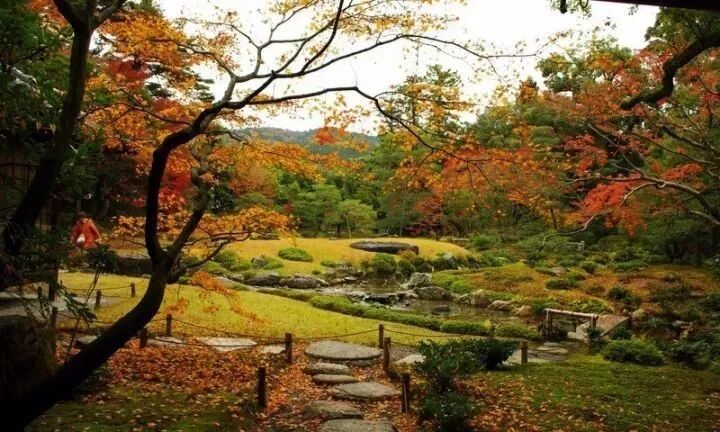 日本京都最优美的庭院 博客內容 日本鼎立地产 A1 House Property Japan