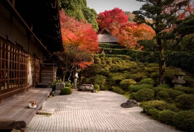 日本京都最优美的庭院 博客內容 日本鼎立地产 A1 House Property Japan