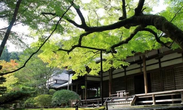 日本京都最优美的庭院 博客內容 日本鼎立地产 A1 House Property Japan