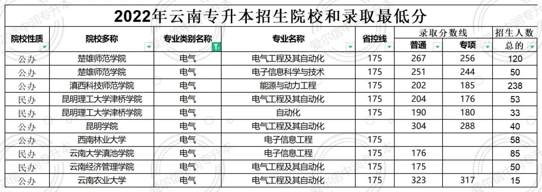 2025參考丨專業(yè)解讀丨電氣